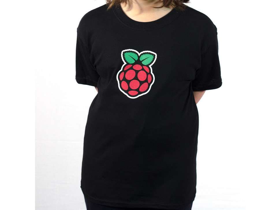 Raspberry Pi Logo T-Shirt
