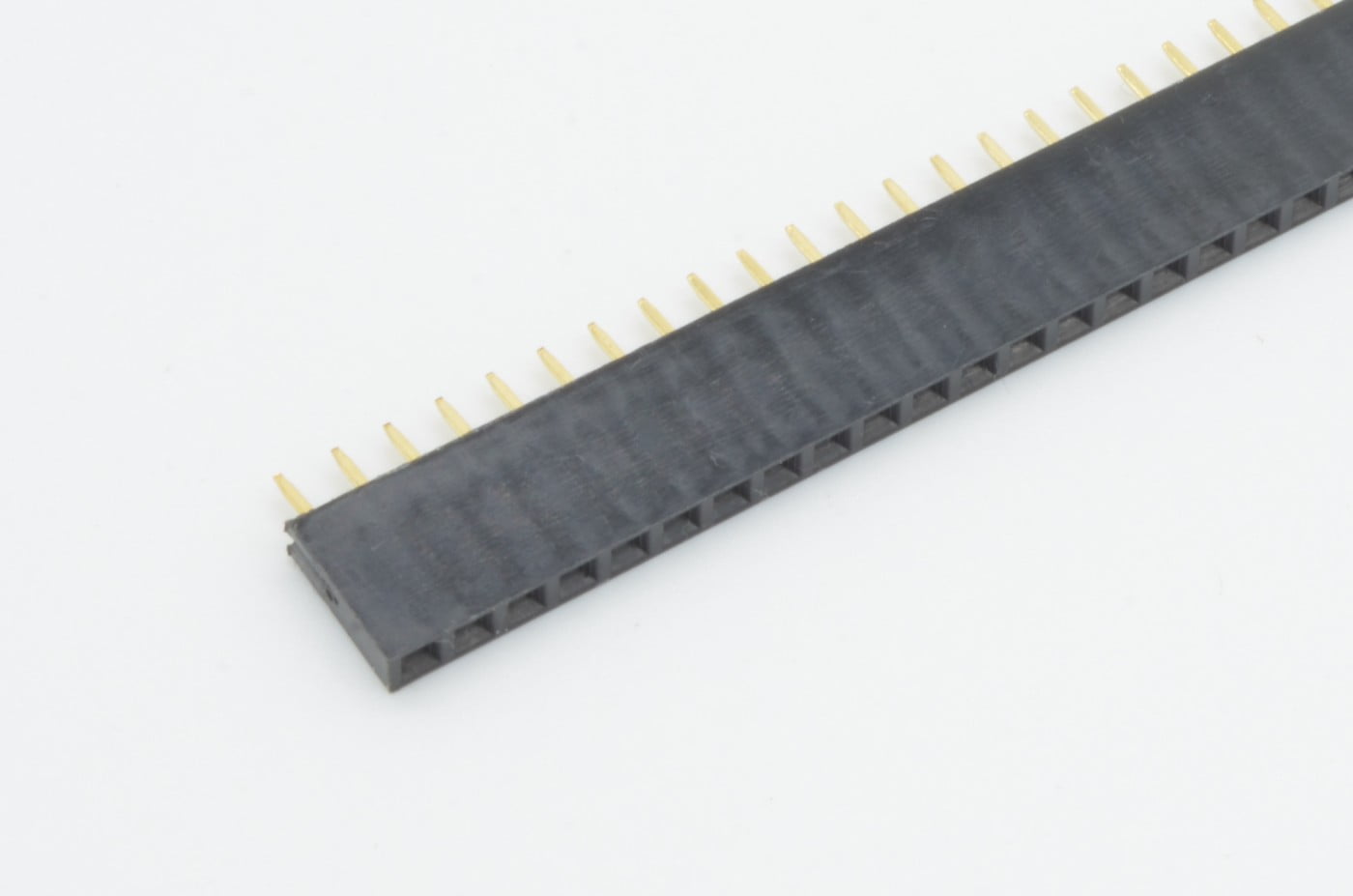 40 Pin Female Header