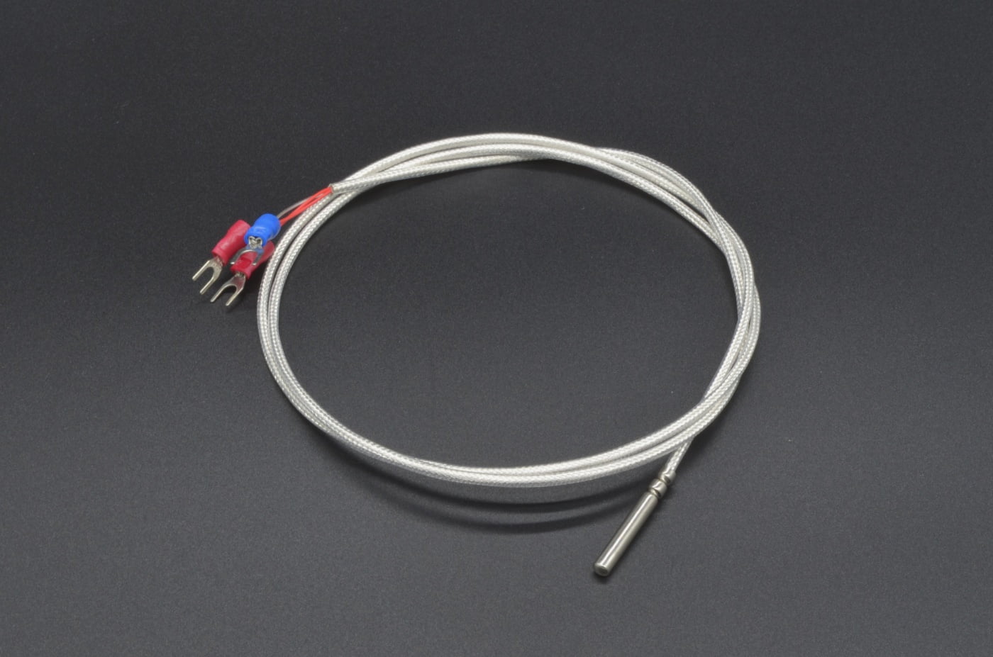 Platinum RTD Sensor - PT100