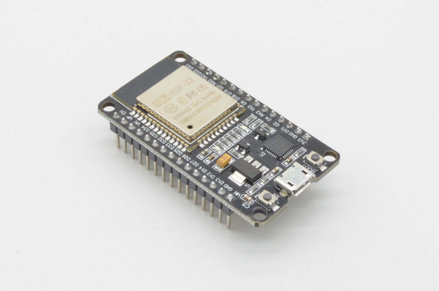 ESP32 Development Board