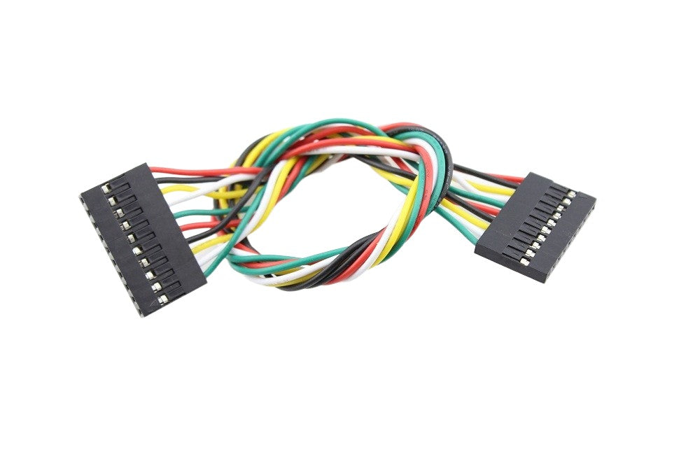 Jumper Wire 10-Pin Dual Female 200mm - Pre-Housed