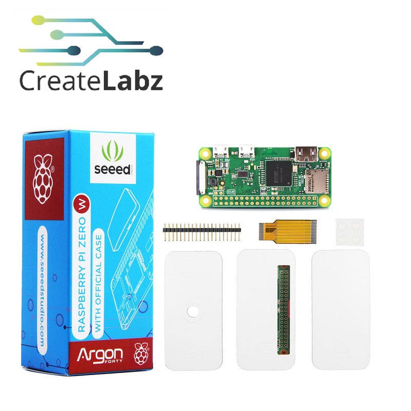 Raspberry Pi Zero W with Official Case