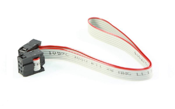 Ribbon Cable with IDC Connectors (6-pin 12")
