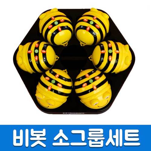 [소그룹 세트] 비봇 카드 코딩