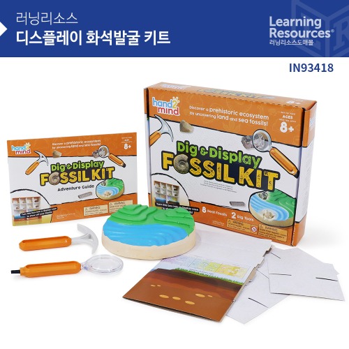[디스플레이 화석발굴 키트] 지구 과학 STEAM