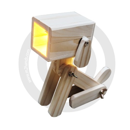[펫무드조명 DIY] 방과후수업 과학교구