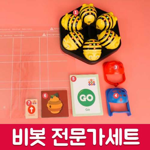 [전문가 세트] 비봇 카드 코딩
