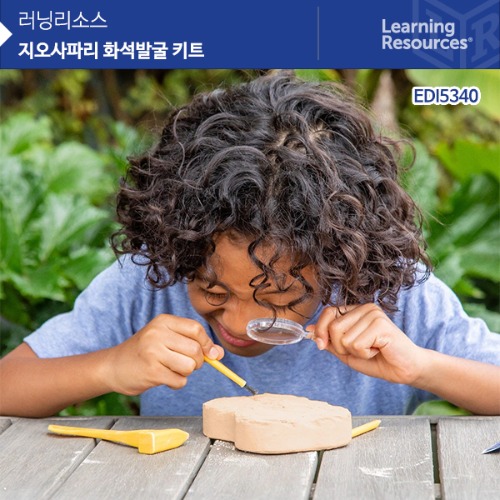 [지오사파리 화석발굴 키트] 지구 과학 STEAM