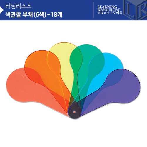 [색관찰 부채] 창의 미술 STEAM