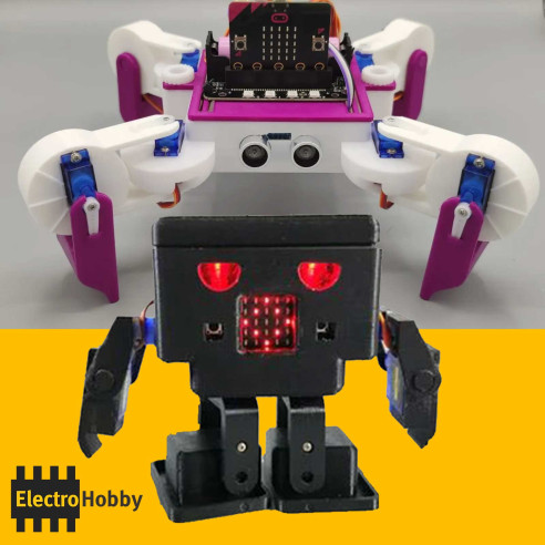 Robot DIY (2 en 1)
