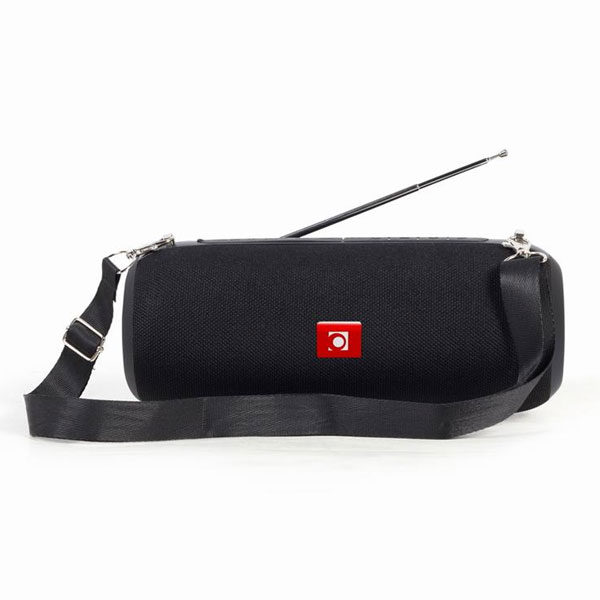 Draagbare Bluetooth Speaker met FM Radio