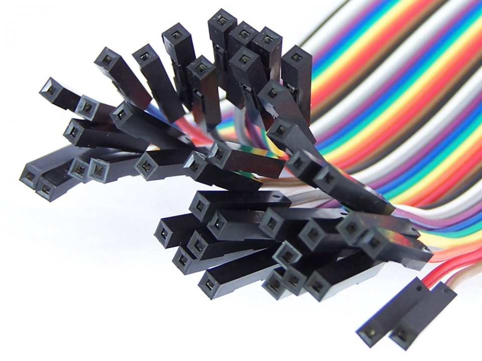 Ribbon 40wire 20cm - Female to Female