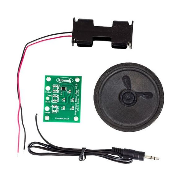 Amplificateur mono 1 x 1 W