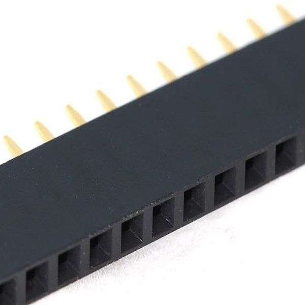 Female Berg Strip 40x1 - iotwebplanet.com