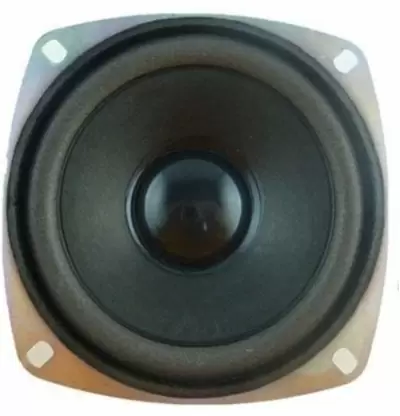 Woofer 4 Inch - iotwebplanet.com
