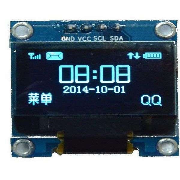 OLED Display Module