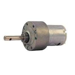 Johnson Motor 200 RPM