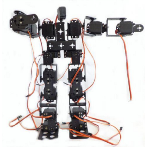 19 Eksenli İnsansı Robot - Humanoid Robot