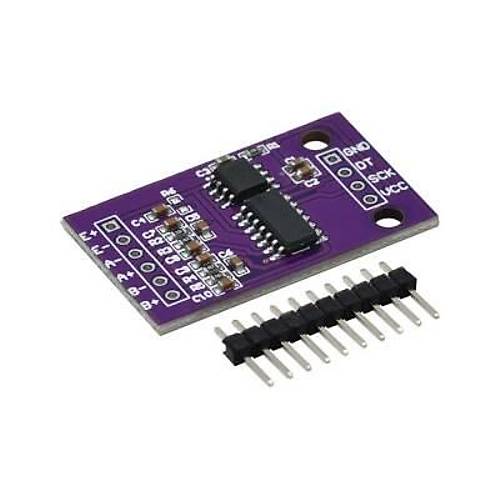CS1238 24-Bit 2 Kanal ADC Modülü TL431 Çipli