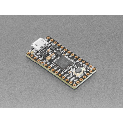 Adafruit ItsyBitsy M0 Express