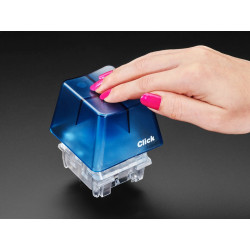 Adafruit Grosse touche Clavier Kailh Bleu Pale