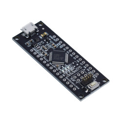 Carte de development Samd21 M0-Mini