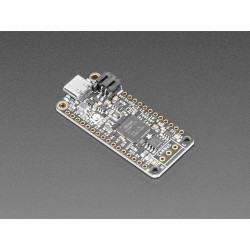 Adafruit Feather M4 CAN Express (ATSAME51)