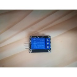 Module Relais domotique
