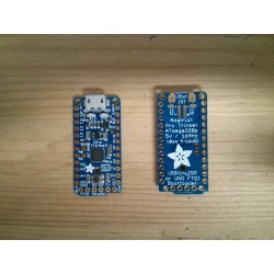 Adafruit Pro Trinket 5V
