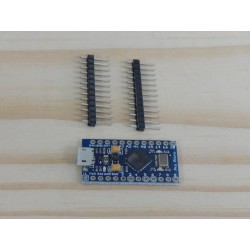 Pro Micro compatible avec Arduino