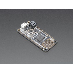 Adafruit Feather M4 Express