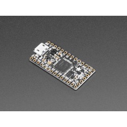 Adafruit ItsyBitsy M4 Express