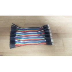 Nappe de 40 jumpers mâle - femelle 10cm