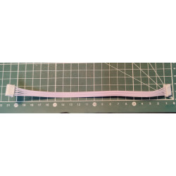 Câble nappe 20 cm JST XH 2.54mm 5pins