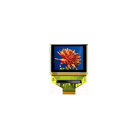 Afficheur OLED couleur 1.69"