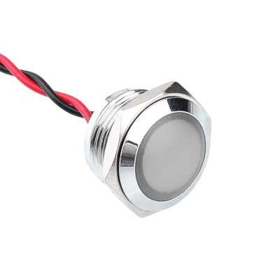 WD16L-P2 16mm 12-24V Kablolu Metal Sinyal Lambası - Beyaz