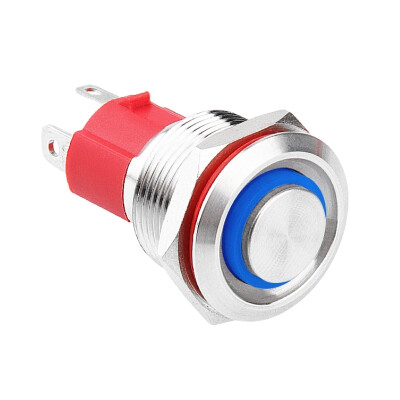 WD19D-G1Z-E 19mm Çıkık Anahtarlı Işıklı Metal Buton - Mavi
