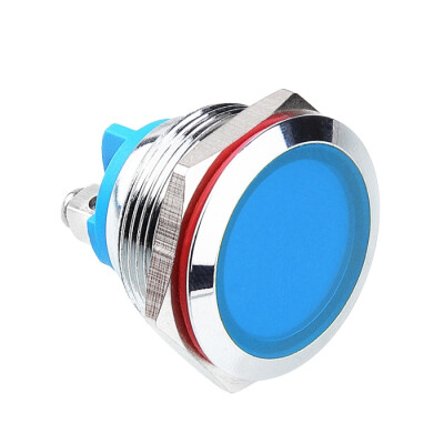 WD22L-P0 22mm 12-24V Metal Sinyal Lambası - Mavi