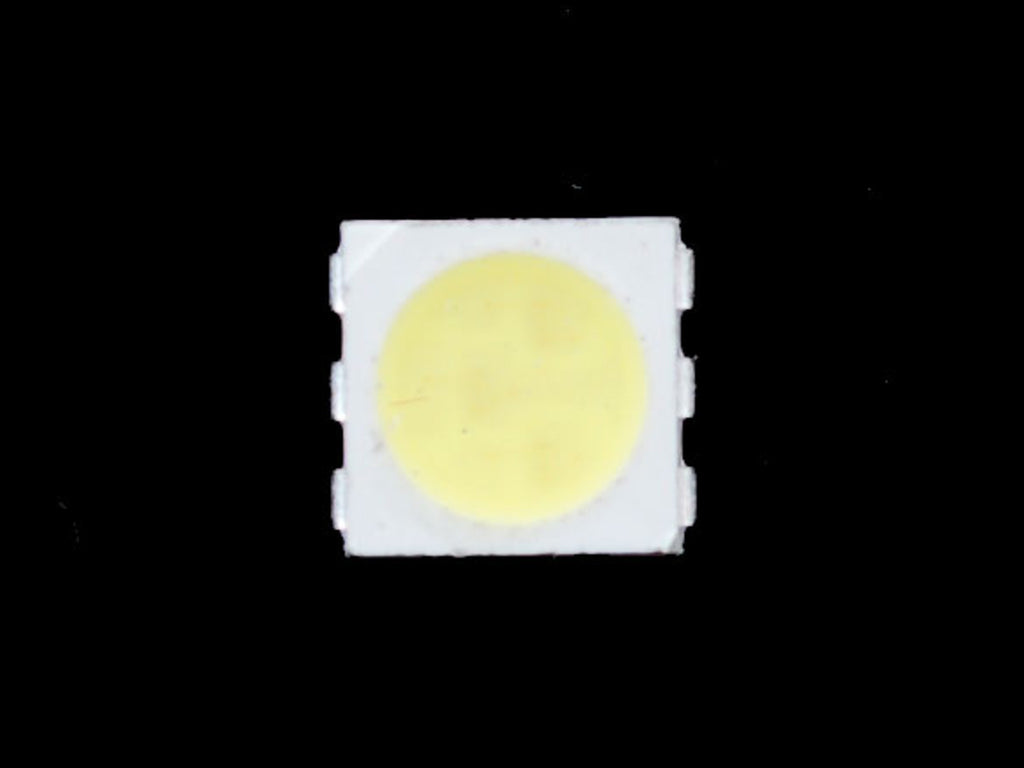 SMT Cool White 5050 LED - 10 pack