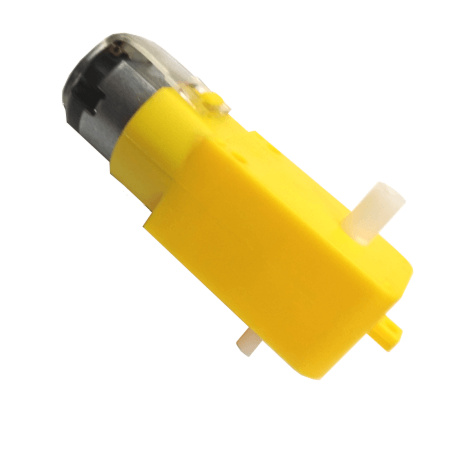 60 RPM Double shaft Straight BO Motor