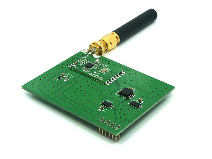 RFEM2.4G module