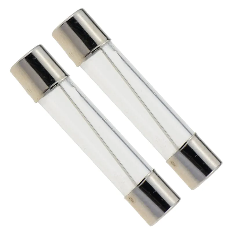 2A 250V Glass Tube Fuse - 6x30mm (Pack of 2)