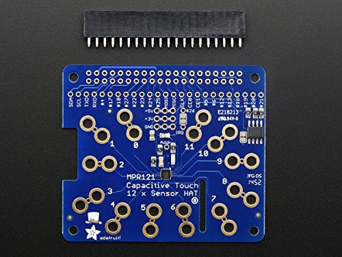adafruit capacitive touch hat for raspberry pi - mini kit