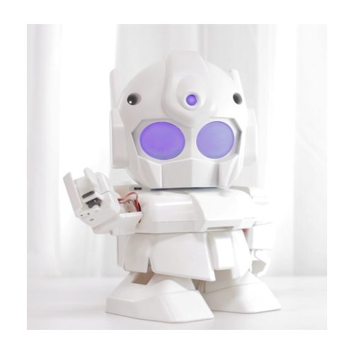 【組立ワークショップ付】Rapiroキット--販売終了
