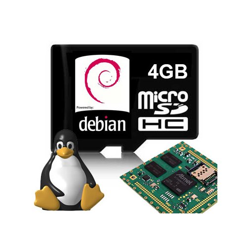DEBM4G-ARIA --販売終了