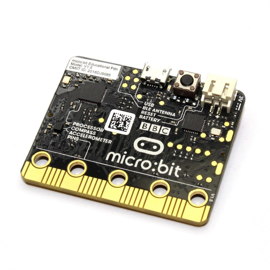 Micro:bit Go