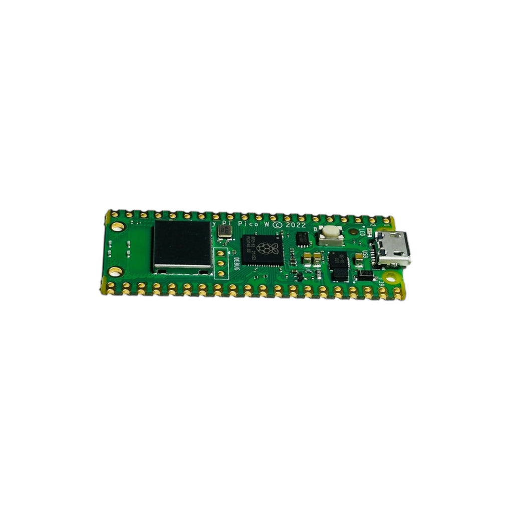 Raspberry Pi Pico W