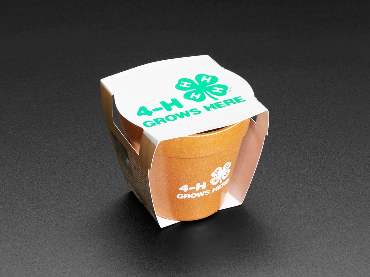 4-H Grow Your Own Clovers Kit [Discontinued]