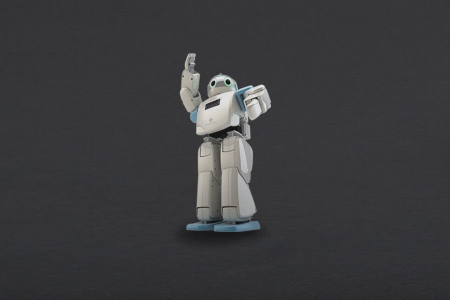 HOVIS Eco Plus - 20 DOF Humanoid Robot [Discontinued]